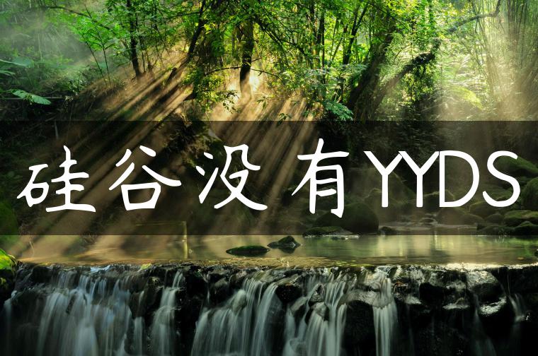 硅谷没有YYDS
