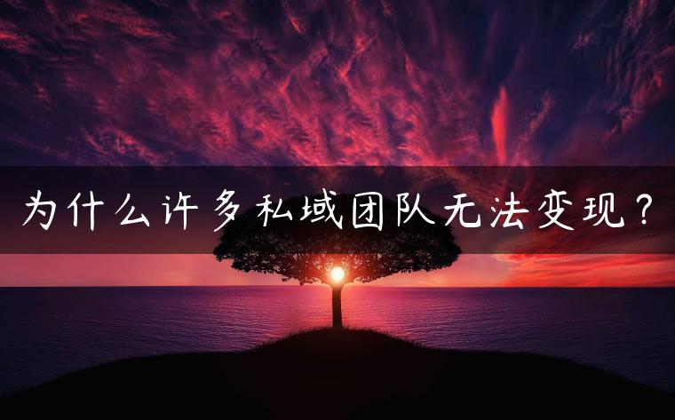 为什么许多私域团队无法变现？