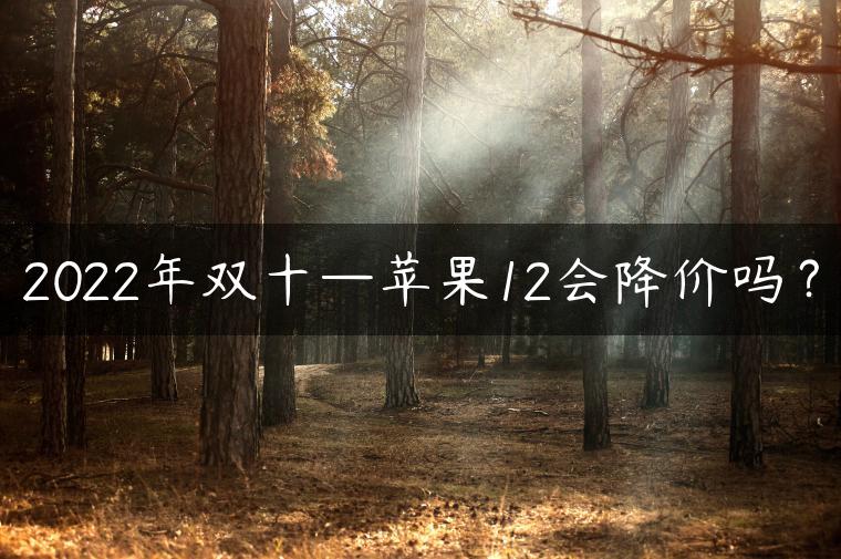 2022年双十—苹果12会降价吗？