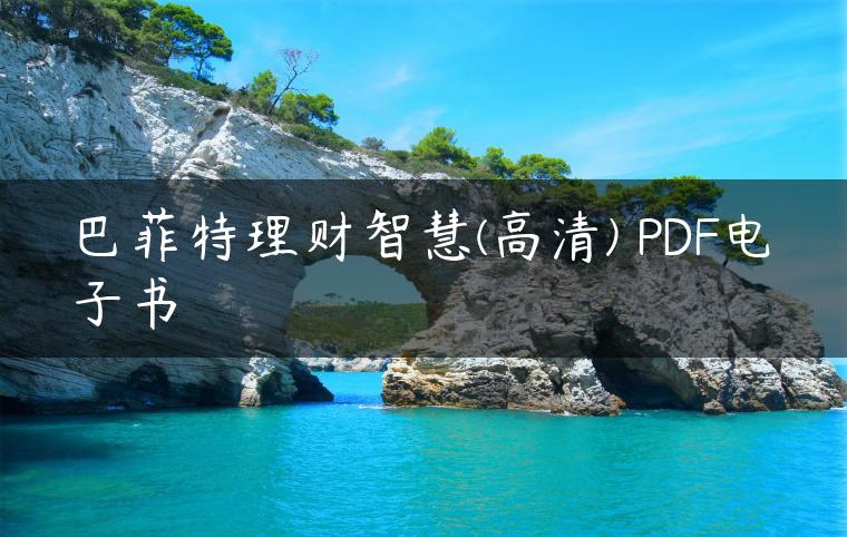 巴菲特理财智慧(高清) PDF电子书