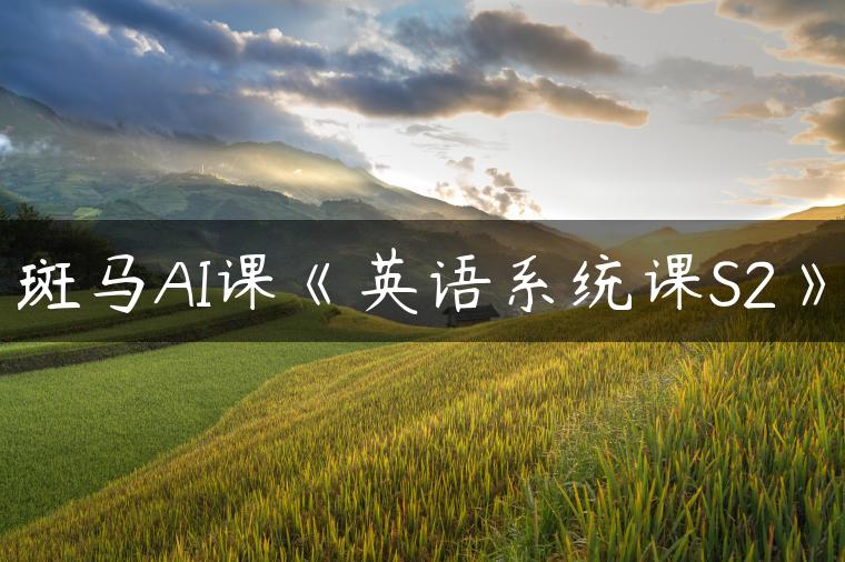 斑马AI课《英语系统课S2》