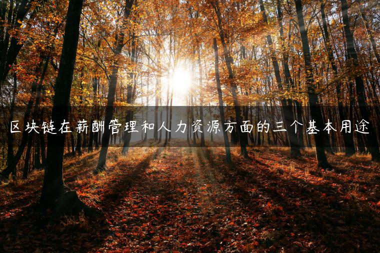 区块链在薪酬管理和人力资源方面的三个基本用途