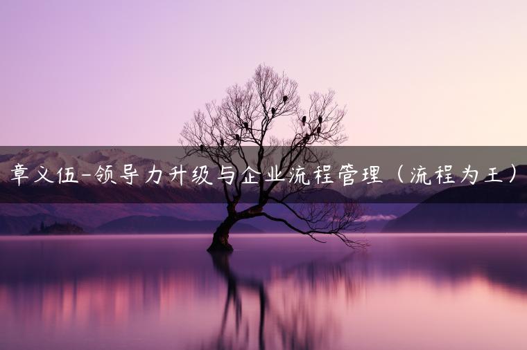 章义伍-领导力升级与企业流程管理（流程为王）