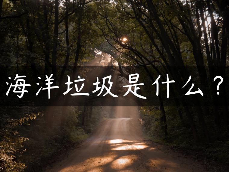 海洋垃圾是什么？