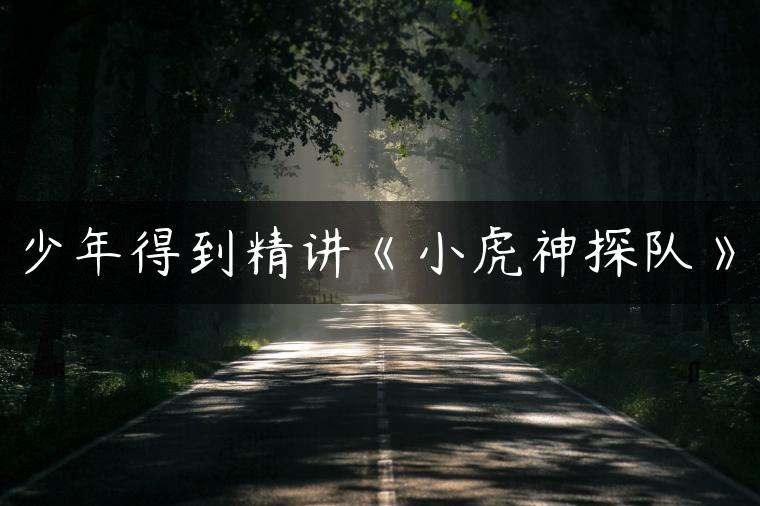 少年得到精讲《小虎神探队》