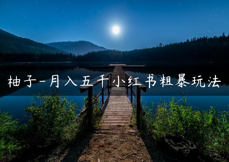柚子-月入五千小红书粗暴玩法