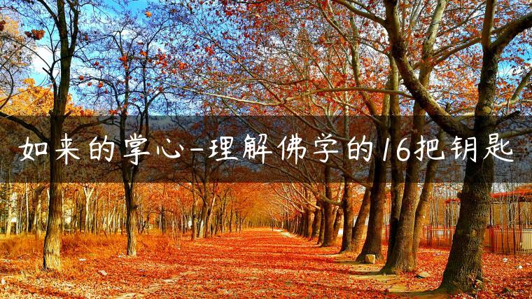 如来的掌心-理解佛学的16把钥匙