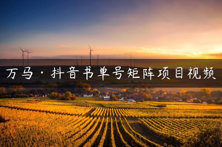 万马·抖音书单号矩阵项目视频