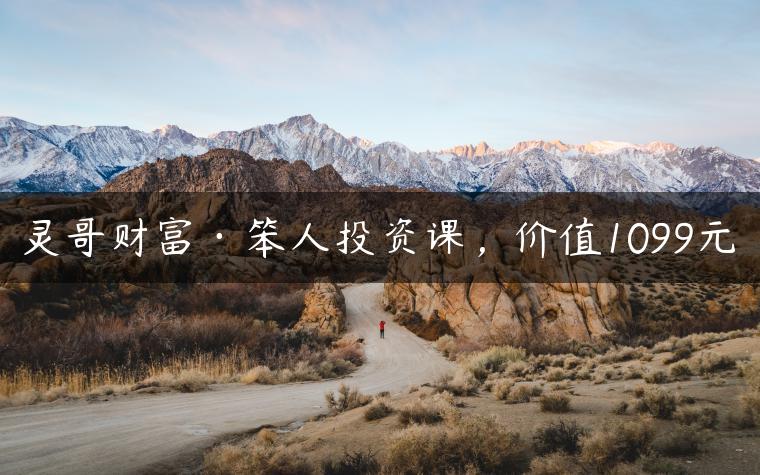 灵哥财富·笨人投资课，价值1099元