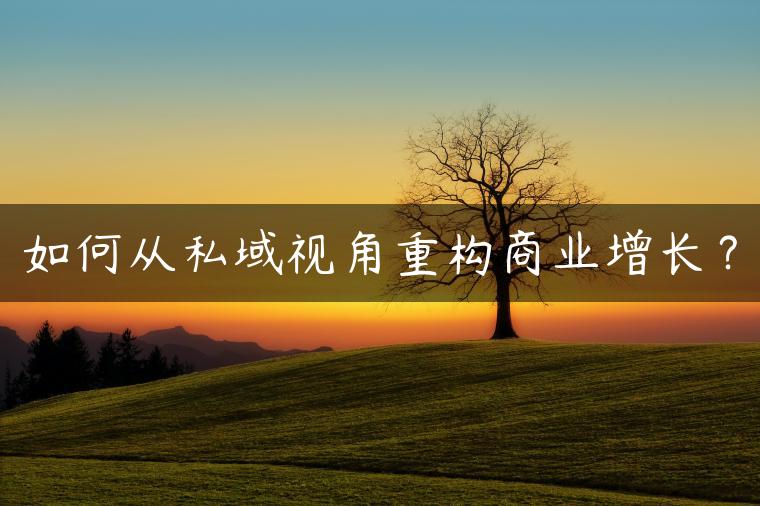 如何从私域视角重构商业增长？