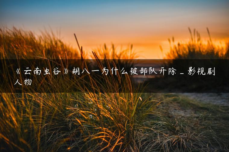 《云南虫谷》胡八一为什么被部队开除_影视剧人物
