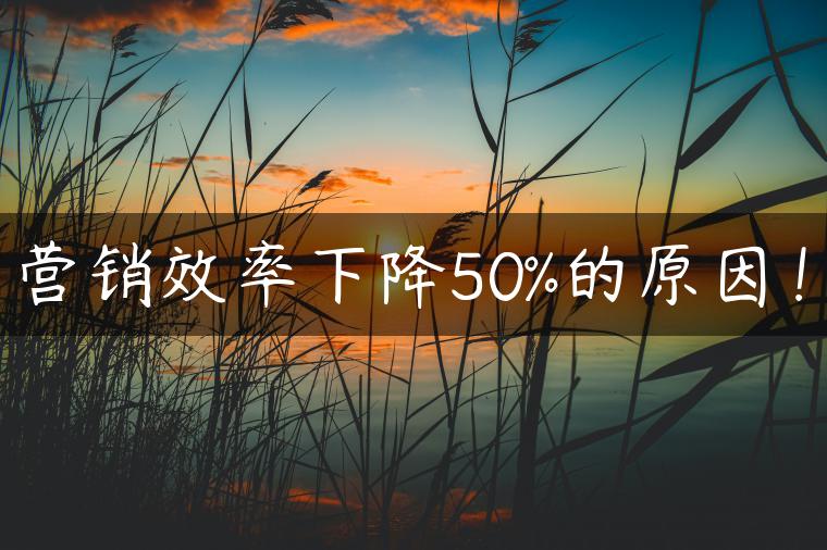 营销效率下降50%的原因！