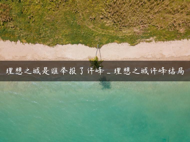 理想之城是谁举报了许峰_理想之城许峰结局