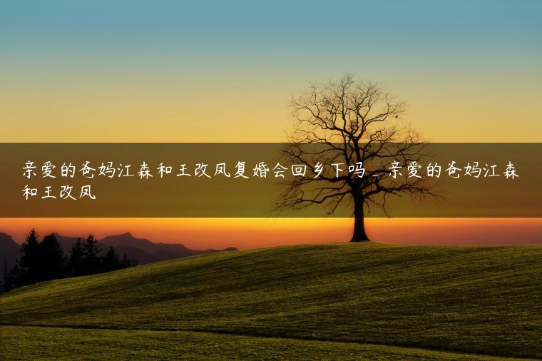 亲爱的爸妈江森和王改凤复婚会回乡下吗_亲爱的爸妈江森和王改凤