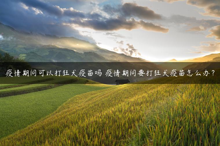 疫情期间可以打狂犬疫苗吗 疫情期间要打狂犬疫苗怎么办？