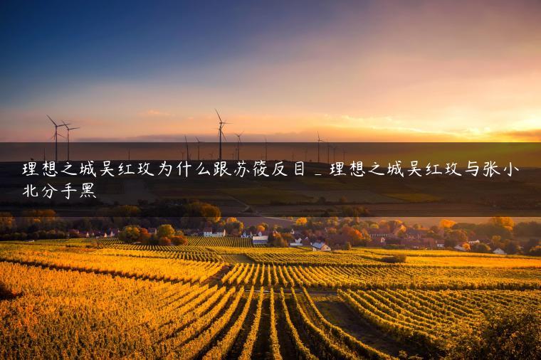 理想之城吴红玫为什么跟苏筱反目_理想之城吴红玫与张小北分手黑