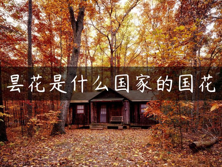 昙花是什么国家的国花 昙花是什么国家的国花