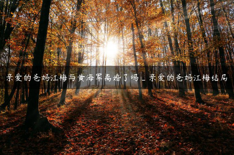 亲爱的爸妈江梅与黄海军离婚了吗_亲爱的爸妈江梅结局