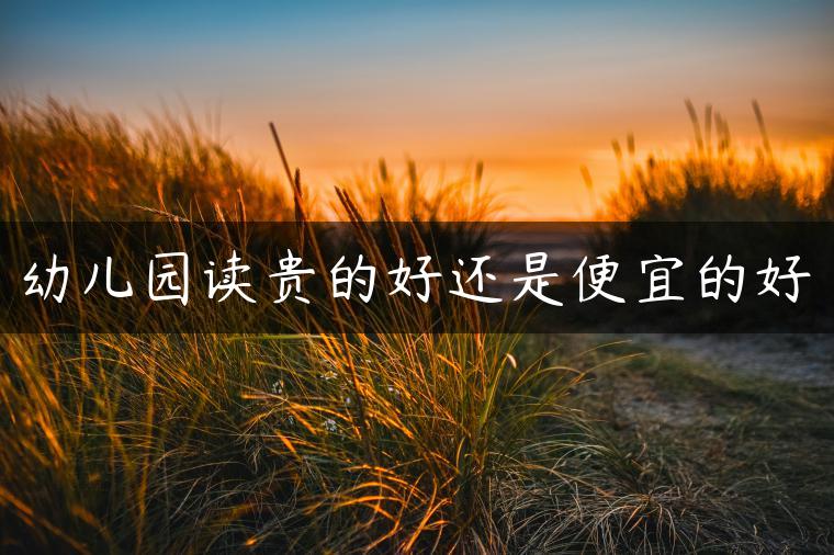 幼儿园读贵的好还是便宜的好