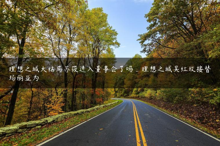 理想之城大结局苏筱进入董事会了吗_理想之城吴红玫接替玛丽亚为