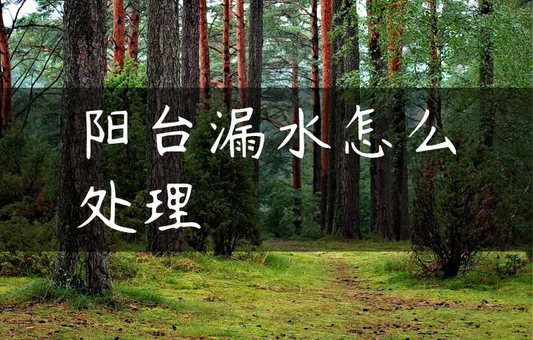 阳台漏水怎么处理