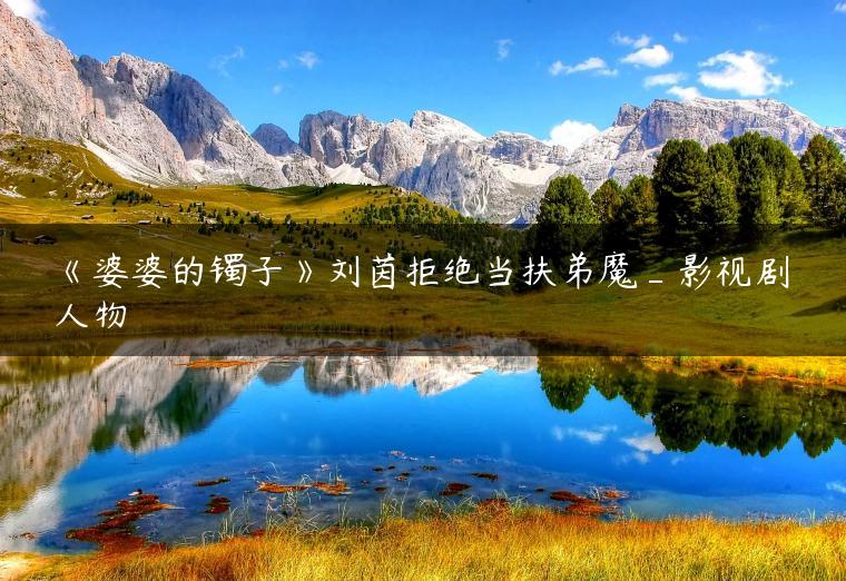 《婆婆的镯子》刘茵拒绝当扶弟魔_影视剧人物