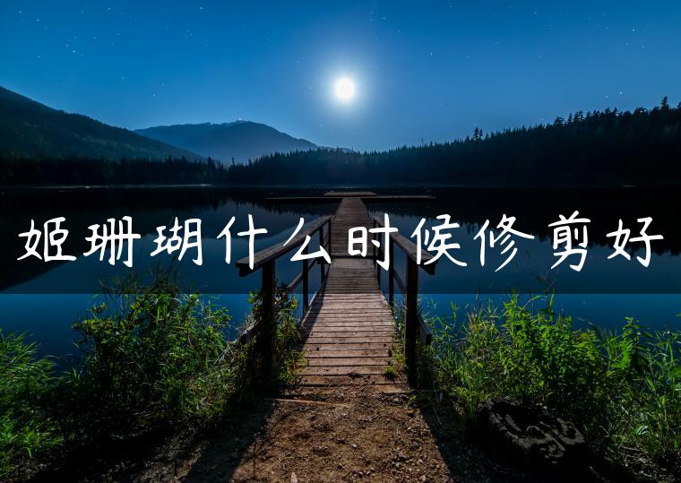 姬珊瑚什么时候修剪好