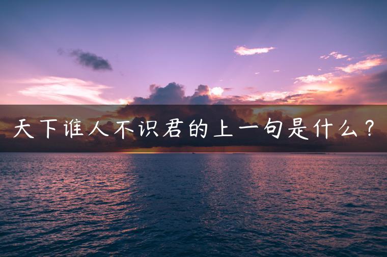 天下谁人不识君的上一句是什么？