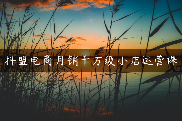 抖盟电商月销千万级小店运营课