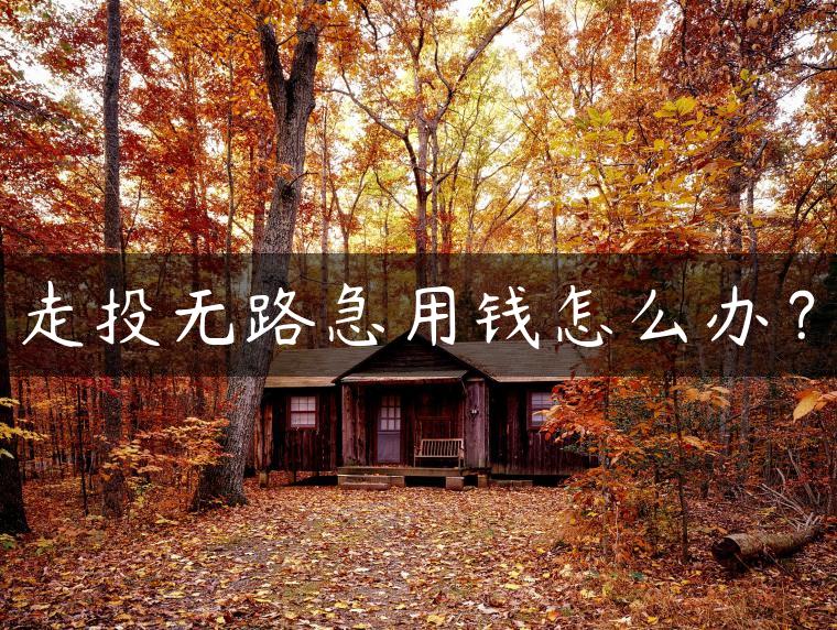 走投无路急用钱怎么办？