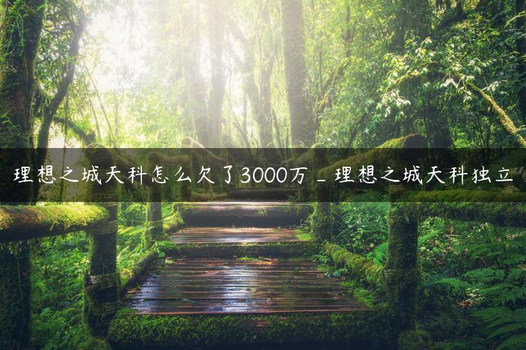 理想之城天科怎么欠了3000万_理想之城天科独立
