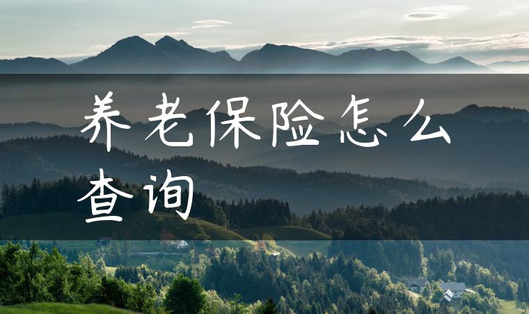 养老保险怎么查询