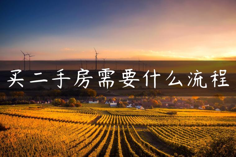 买二手房需要什么流程