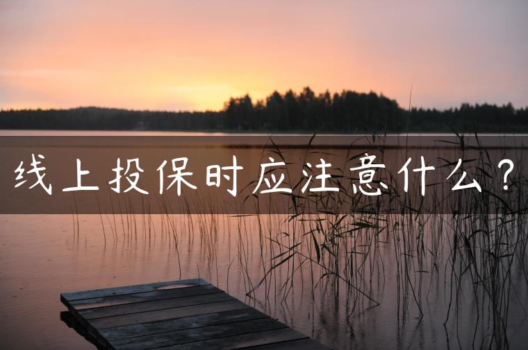线上投保时应注意什么？