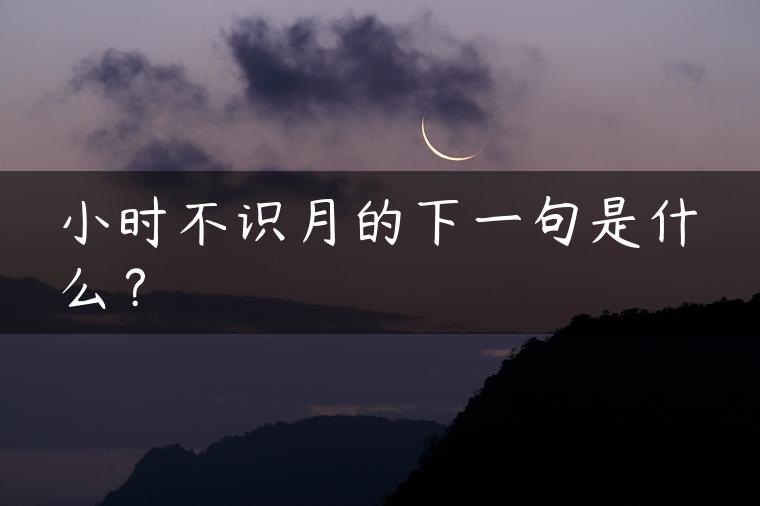 小时不识月的下一句是什么？
