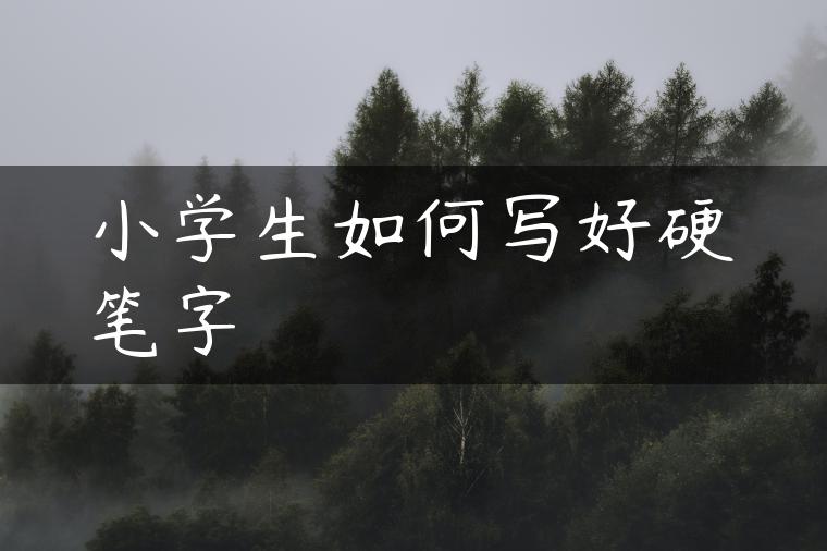 小学生如何写好硬笔字