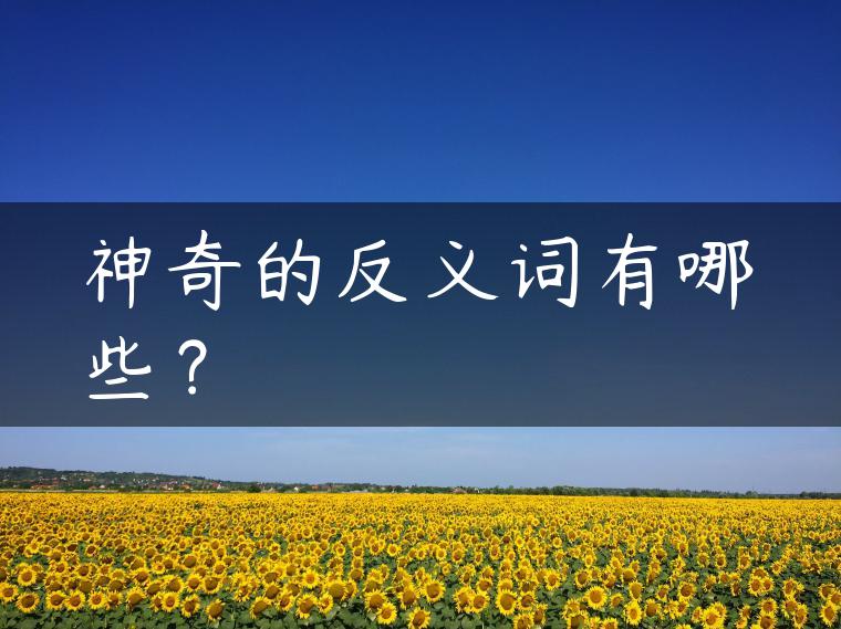 神奇的反义词有哪些？