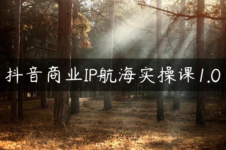 抖音商业IP航海实操课1.0