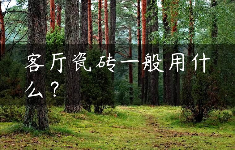 客厅瓷砖一般用什么？