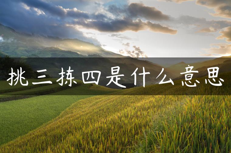 挑三拣四是什么意思 挑三拣四是什么意思