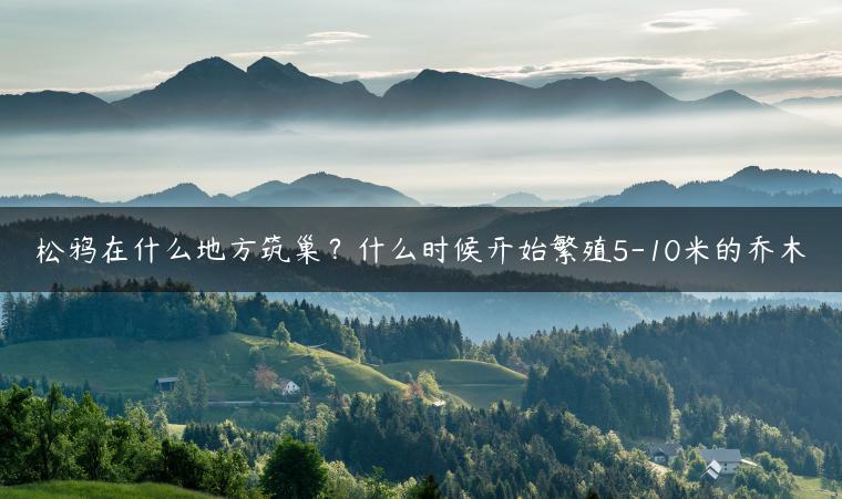 松鸦在什么地方筑巢？什么时候开始繁殖5-10米的乔木