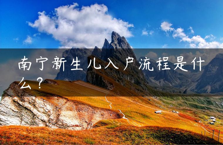 南宁新生儿入户流程是什么？