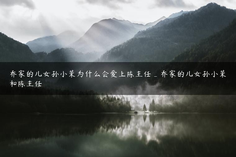 乔家的儿女孙小茉为什么会爱上陈主任_乔家的儿女孙小茉和陈主任