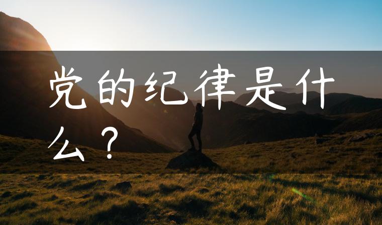 党的纪律是什么？