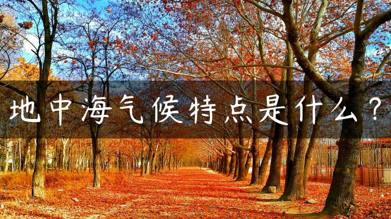 地中海气候特点是什么？