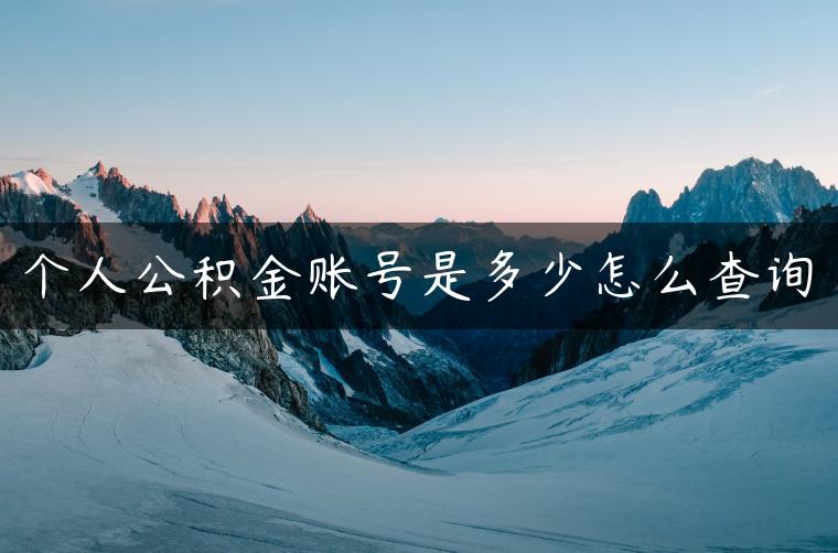 个人公积金账号是多少怎么查询