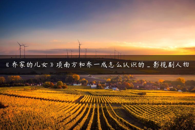 《乔家的儿女》项南方和乔一成怎么认识的_影视剧人物