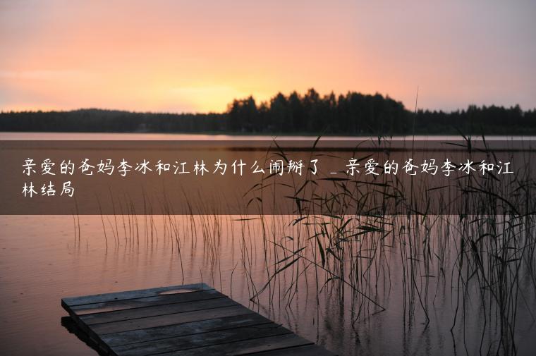 亲爱的爸妈李冰和江林为什么闹掰了_亲爱的爸妈李冰和江林结局