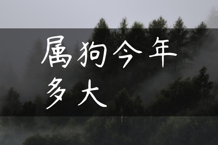 属狗今年多大 属狗今年多大