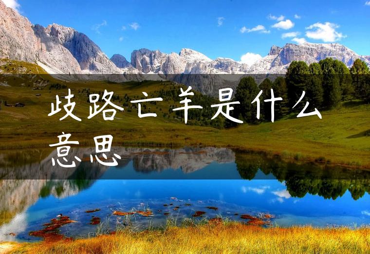 歧路亡羊是什么意思